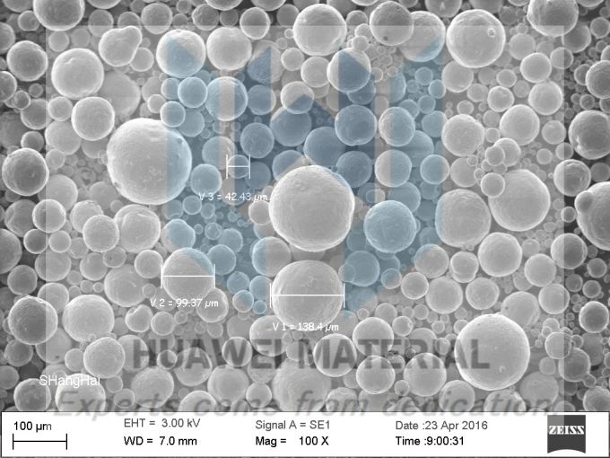 Tantalum disilicide (TaSi2)  SEM