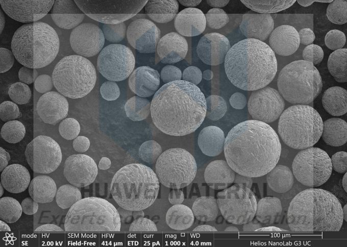 SEM_ Titanium diboride (TiB2)