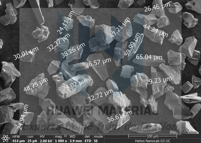 SEM-Niobium powder