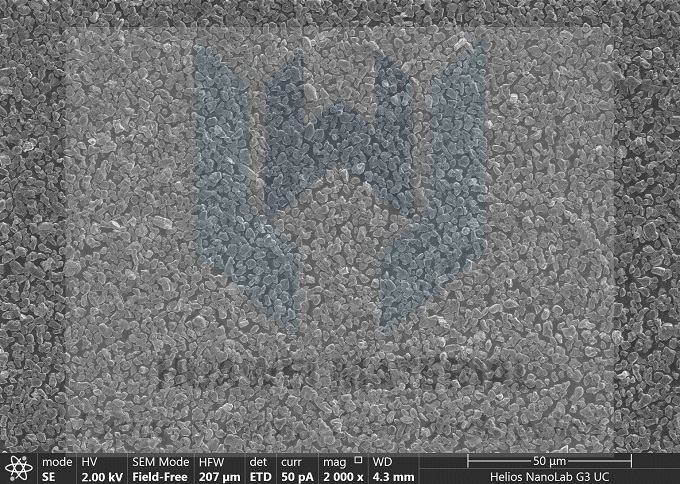 ZrC SEM (3)